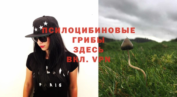 spice Новозыбков