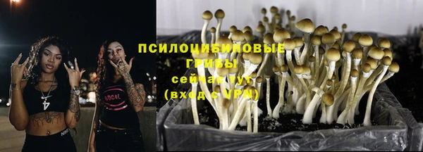 спайс Новокубанск