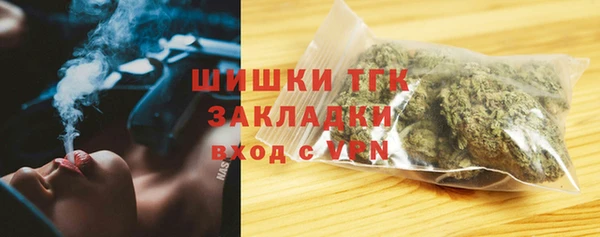 2c-b Бикин