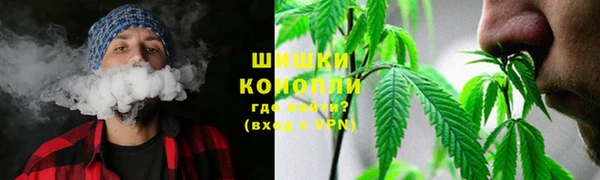 не бодяженный Новодвинск
