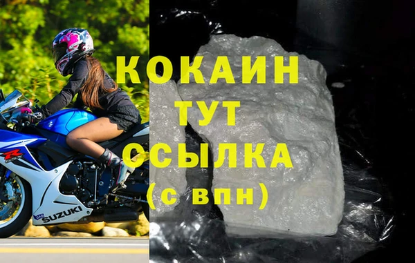 spice Новозыбков