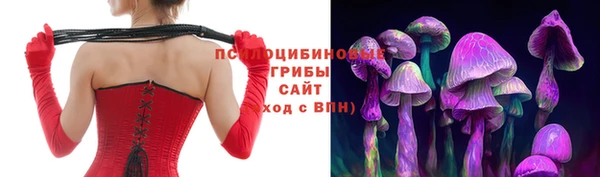 spice Новозыбков
